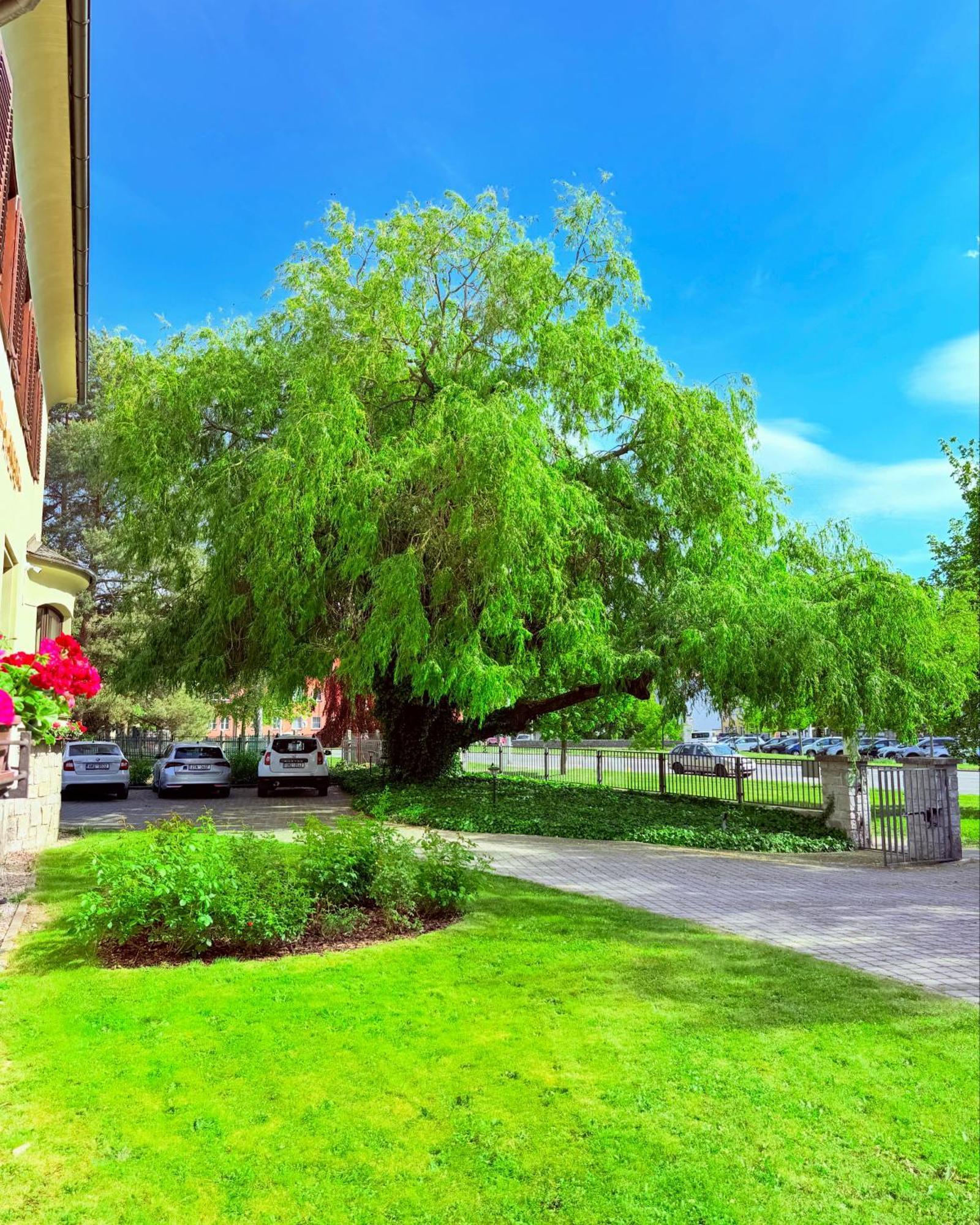 Penzion Villa Ancora Šumperk Екстериор снимка